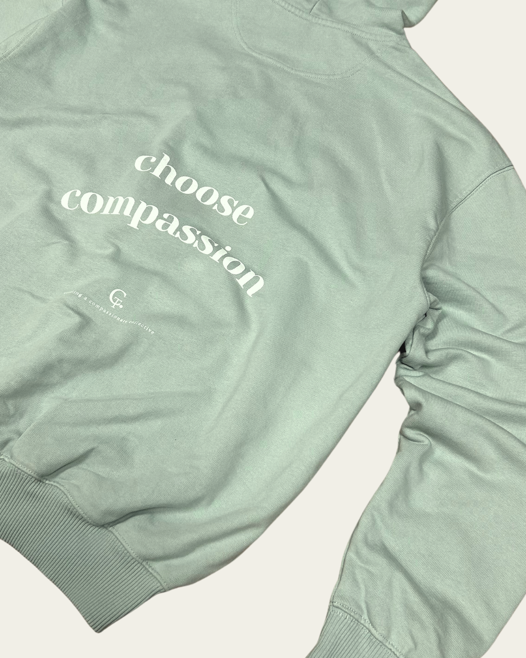 Choose Compassion Academic Oversized Hoodie Oversized Hoodie Compassion Threads Sustainable vegan clothing premium loungewear oversized streetwear ethical fashion