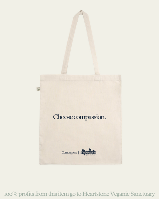 Eco Friendly Tote Bags Sustainable Accessories and Handbags Compassion Threads